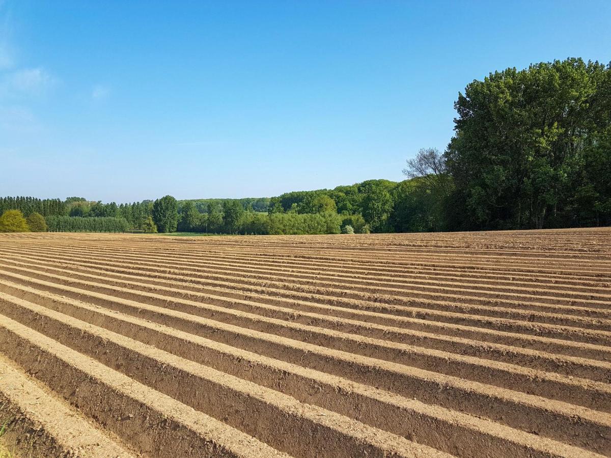 Vakantiewoning Hakuna Matata Geraardsbergen Zewnętrze zdjęcie