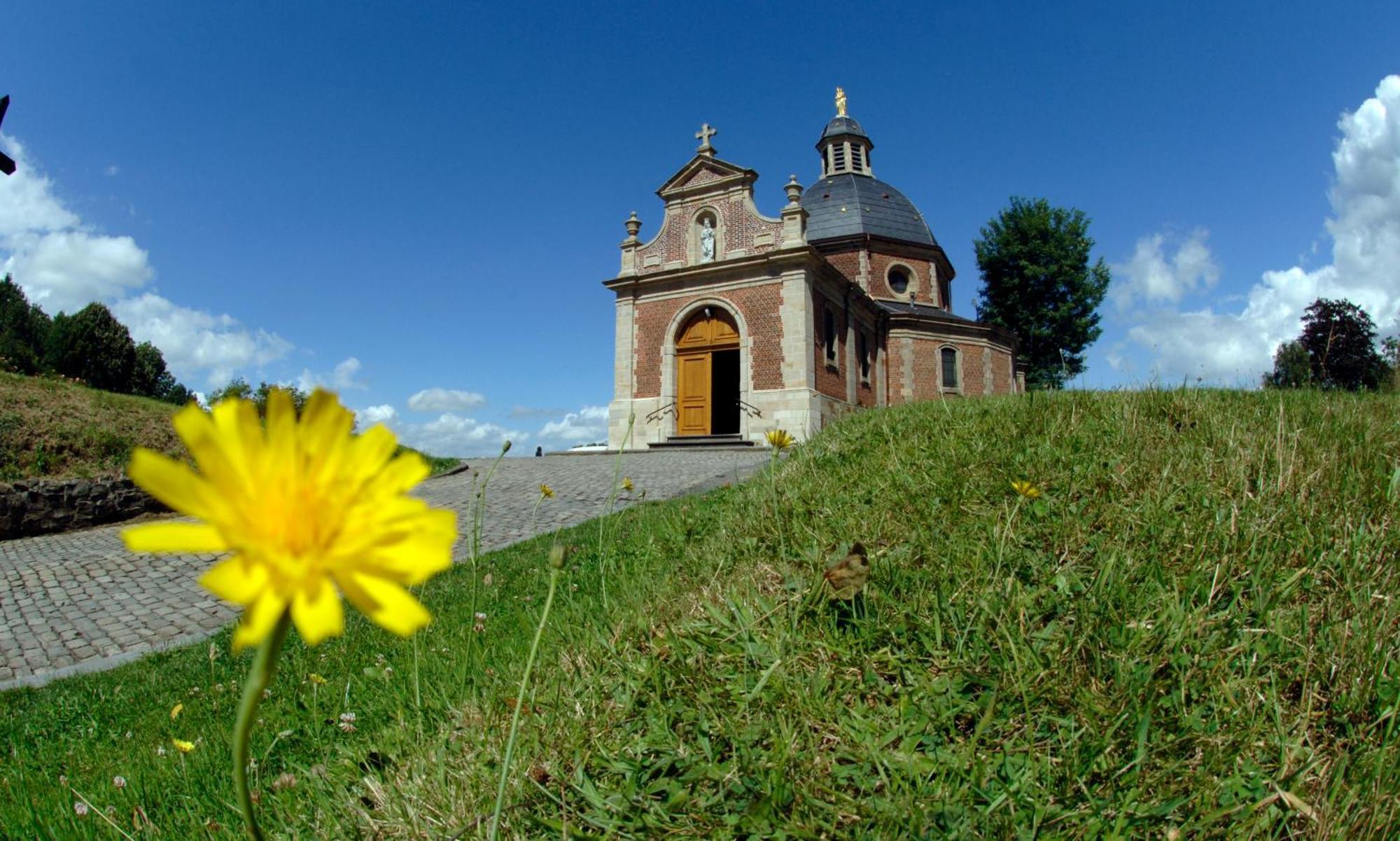 Vakantiewoning Hakuna Matata Geraardsbergen Zewnętrze zdjęcie