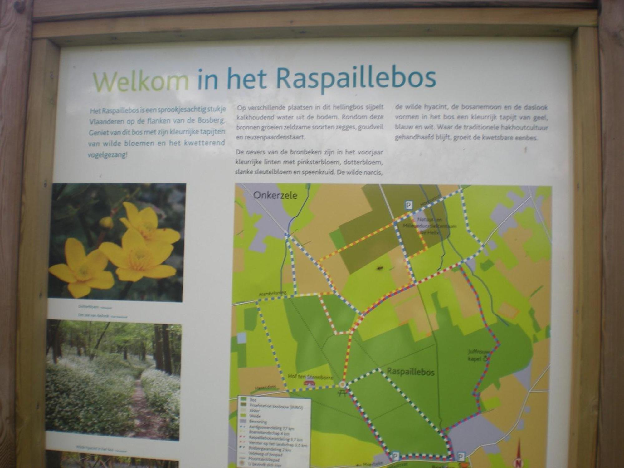 Vakantiewoning Hakuna Matata Geraardsbergen Zewnętrze zdjęcie