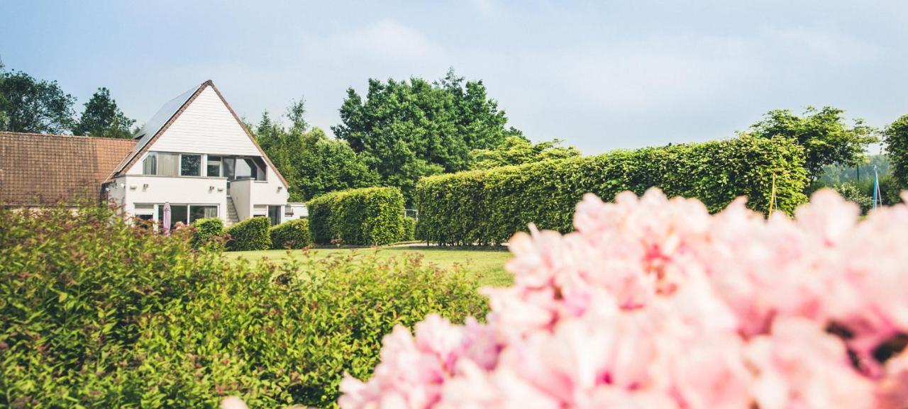 Vakantiewoning Hakuna Matata Geraardsbergen Zewnętrze zdjęcie